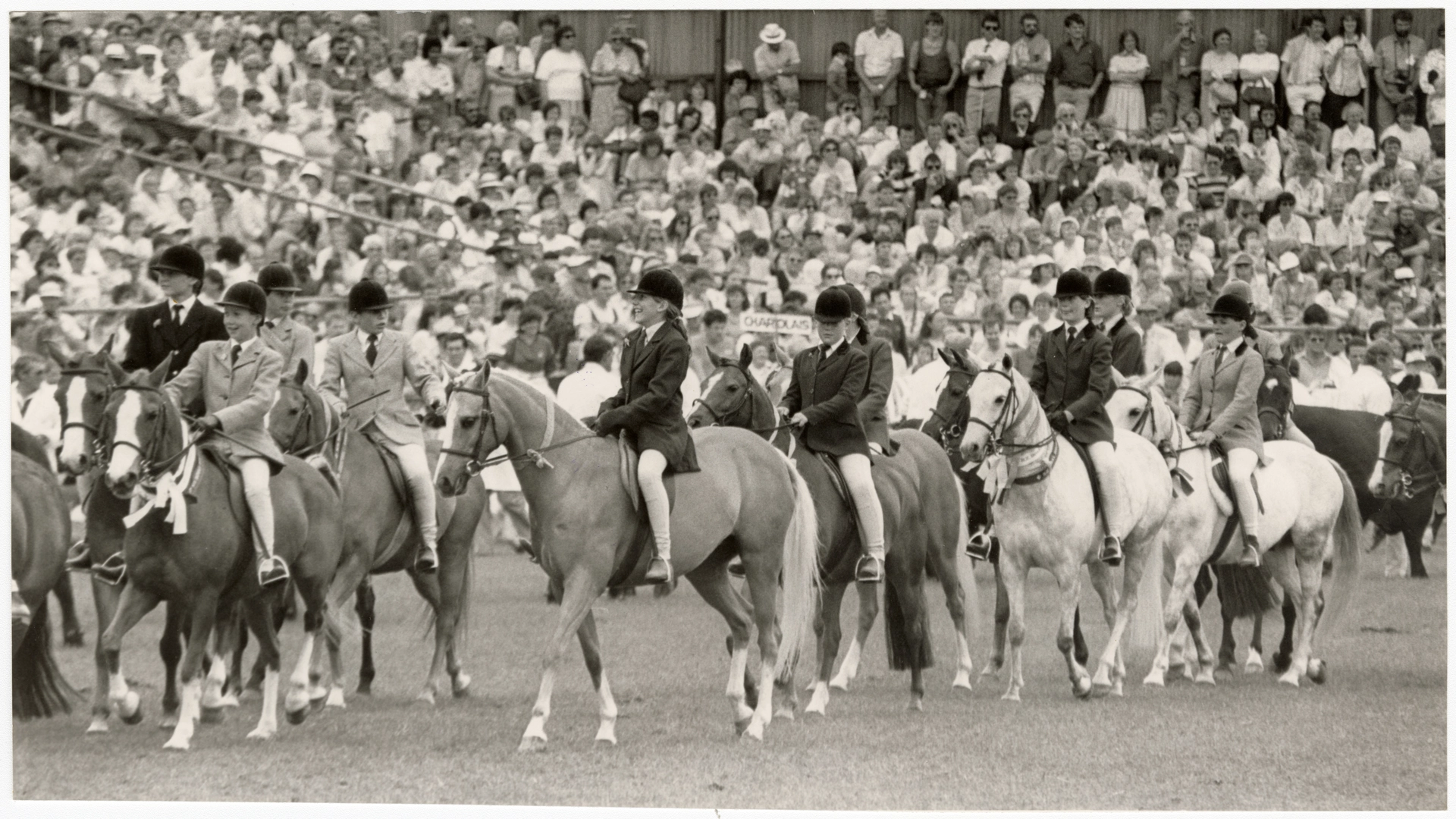 Horse riding parade