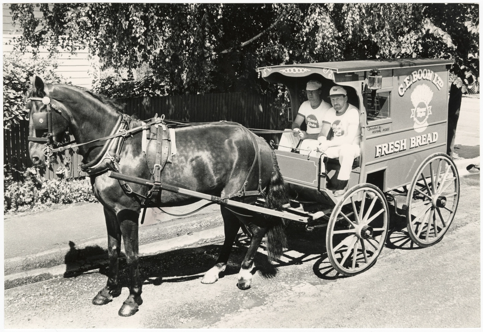 Horse drawn bread delivery cart of C.E. Boon Limited