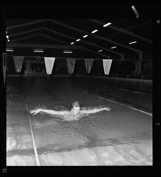 Swimming carnival at Wharenui Coronation Pool in Riccarton