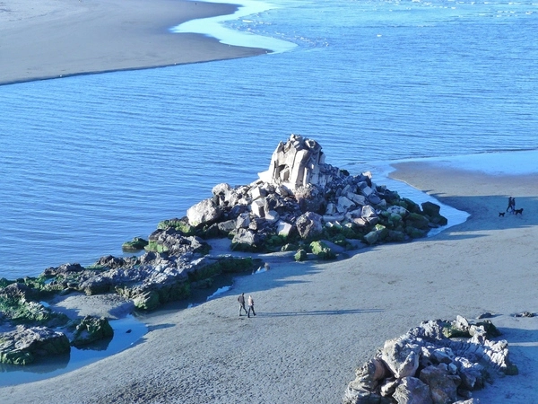 Rapanui Shag Rock and Avon-Heathcote estuary