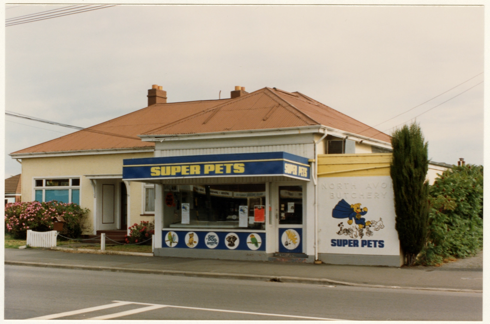 Super Pets store on North Avon Road