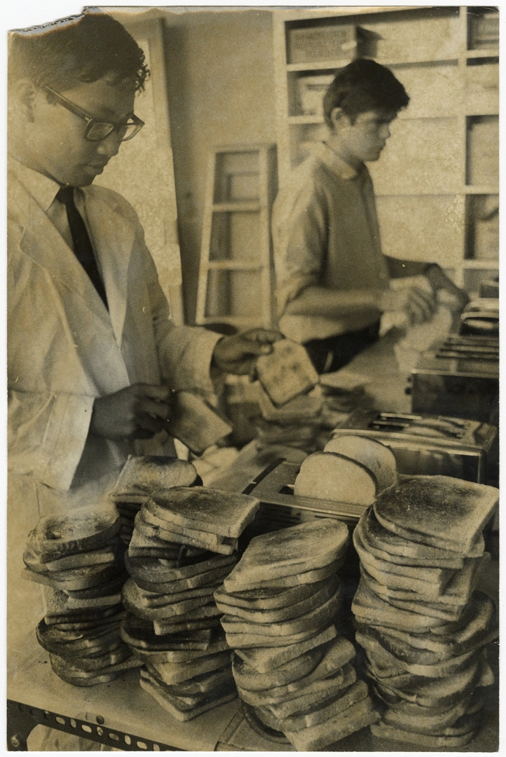 Toasting bread at the Consumers' Institute