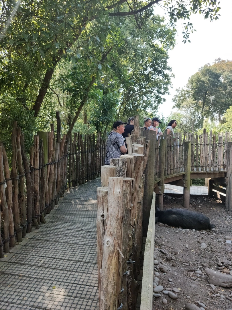 International Volunteer Day at Willowbank Wildlife Reserve