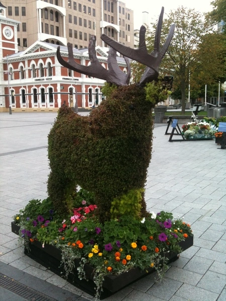 Festival of Flowers topiary deer