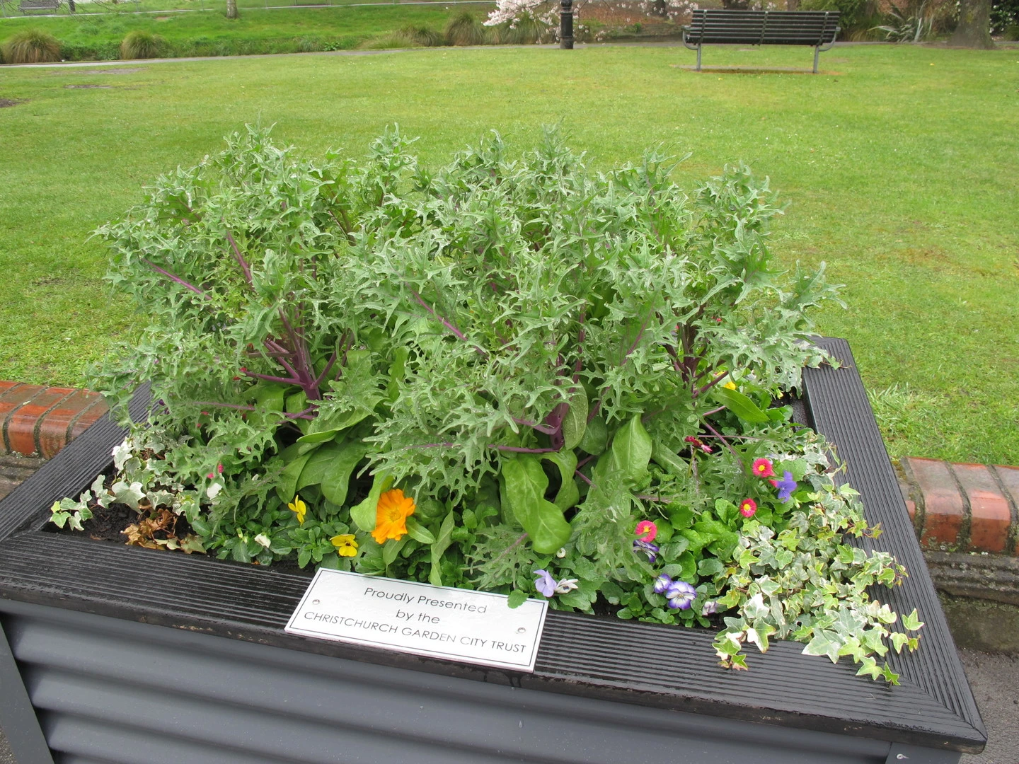 Street planting by the Avon