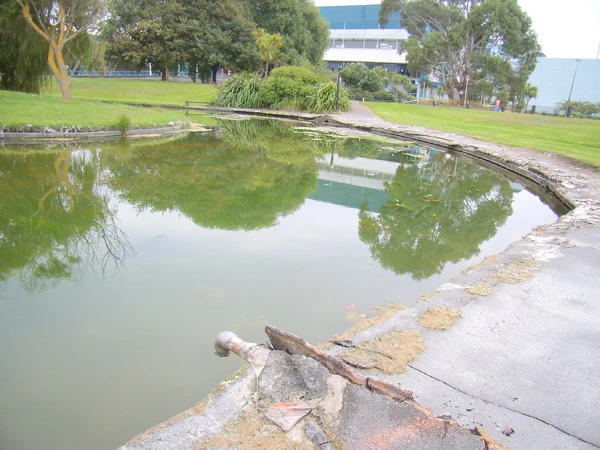 Pond at QEII Park