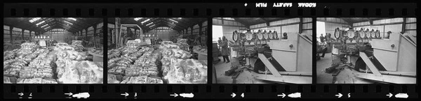 Fresh Vegetable Packers Ltd in Belfast