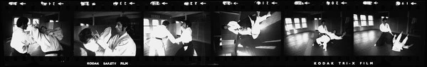 Hans Kellens and John Bonniface demonstrating martial arts