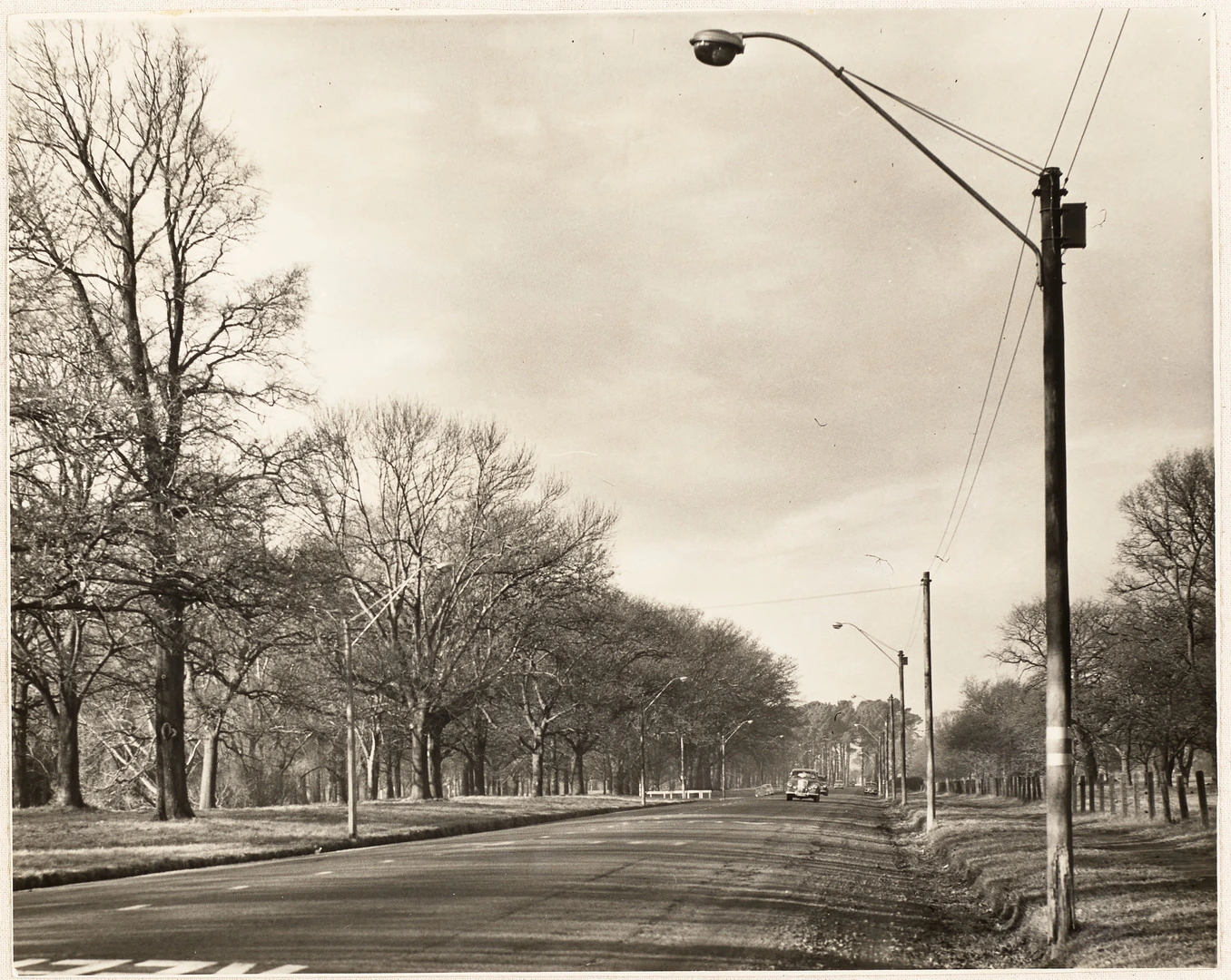 Vapour lamps on Harper Avenue