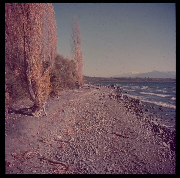 Pebble beach