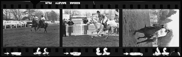 Celebrities horse race at Riccarton
