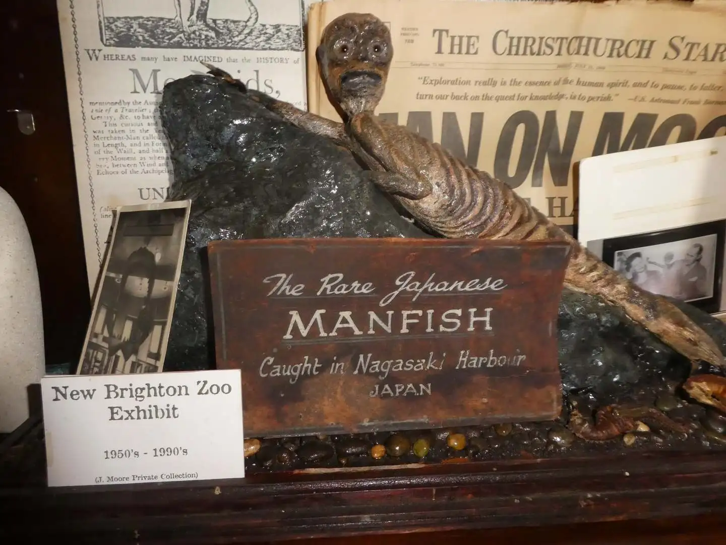 Manfish at North New Brighton Zoo