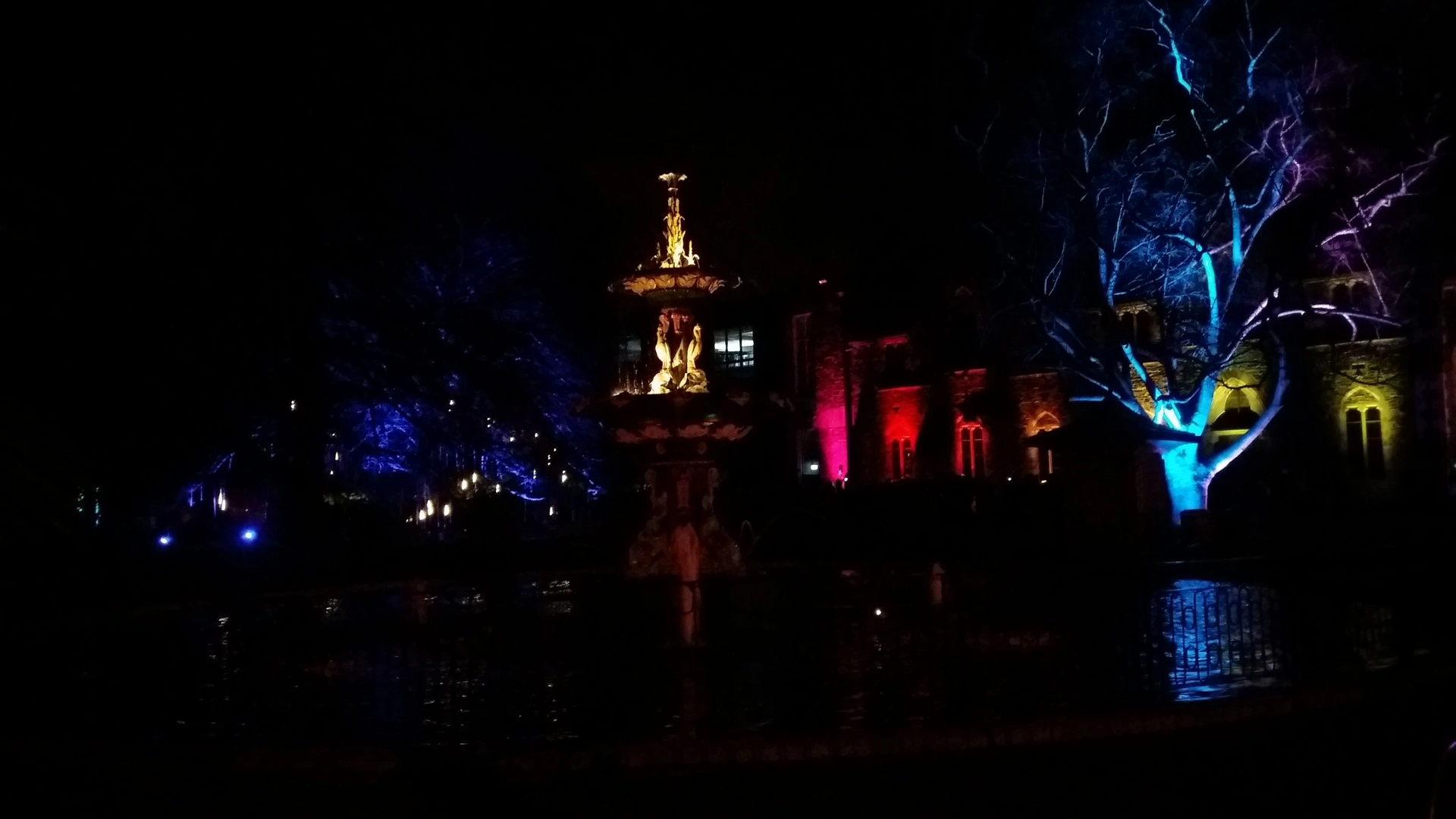 Peacock Fountain at Botanic D'Lights