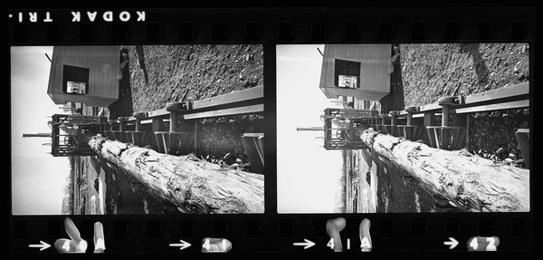 Log in bark stripping machine
