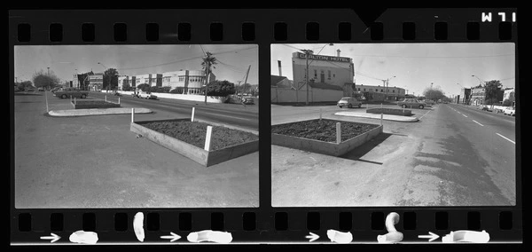 Garden boxes in Bealey Avenue