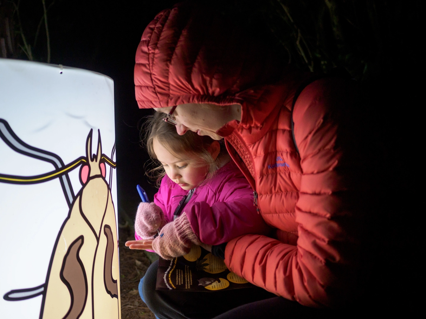 Nightlife Lantern Walk through Riccarton Bush