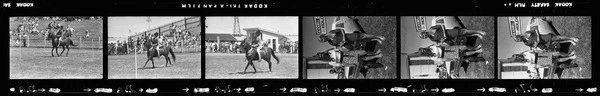 Canterbury A&P Show at the  Addington Showgrounds