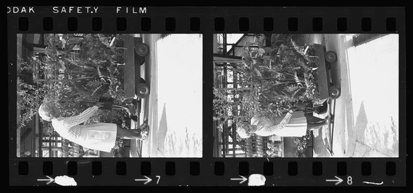Oderings worker and plants