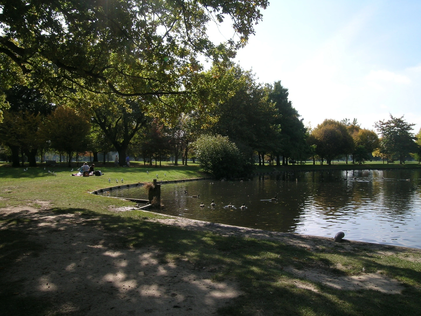 Victoria Lake in North Hagley Park