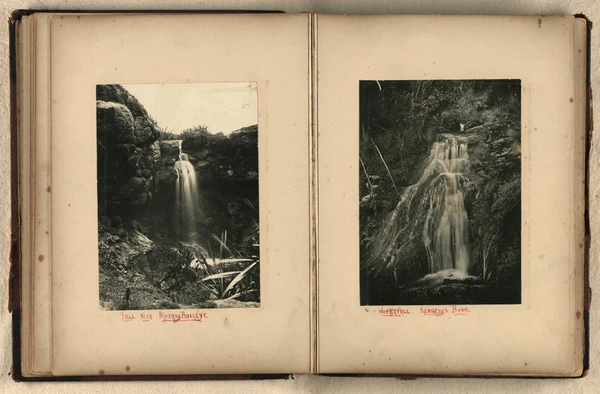 Waterfalls at Murray Aynsley and Kennedys Bush