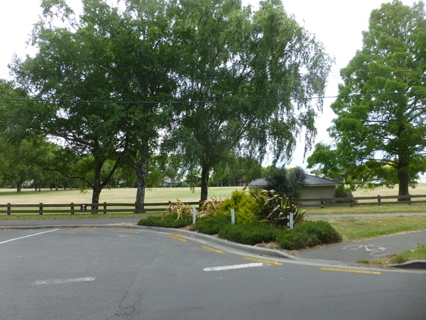 Spreydon Domain, Domain Terrace, 14 January 2017