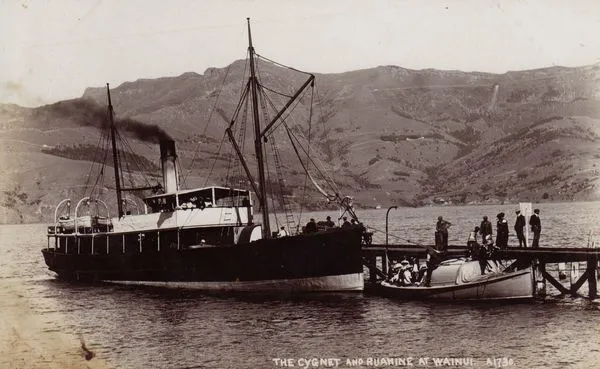 Boats at Wainui Wharf