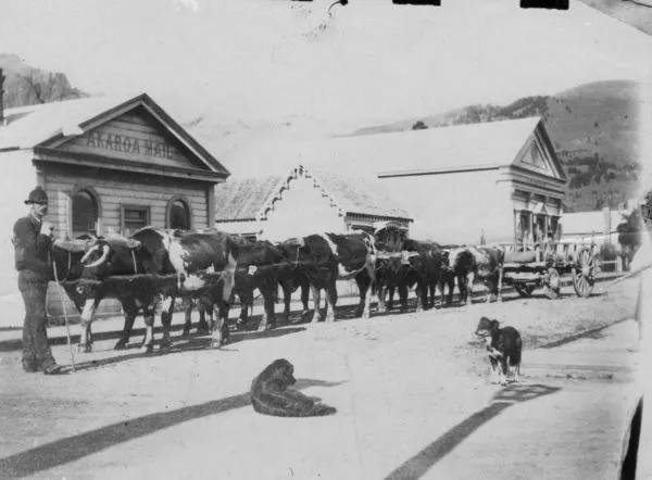 Akaroa Mail, Library and Gaiety Hall