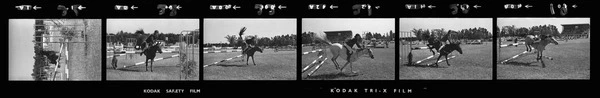 Horse jumping in Beath’s A grade competition