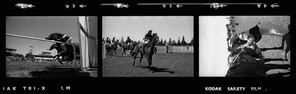 New Zealand 1000 Guineas