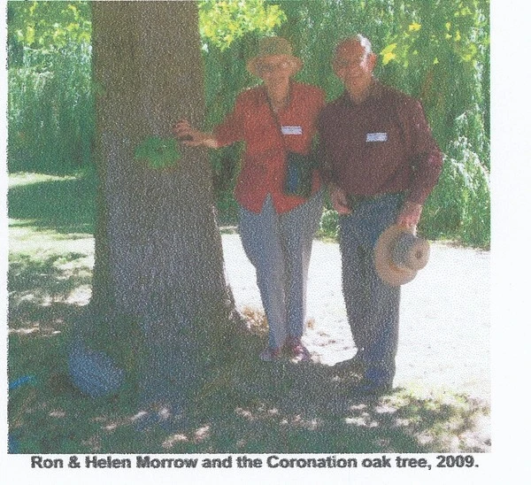 Ron and Helen Morrow at the Coronation oak tree