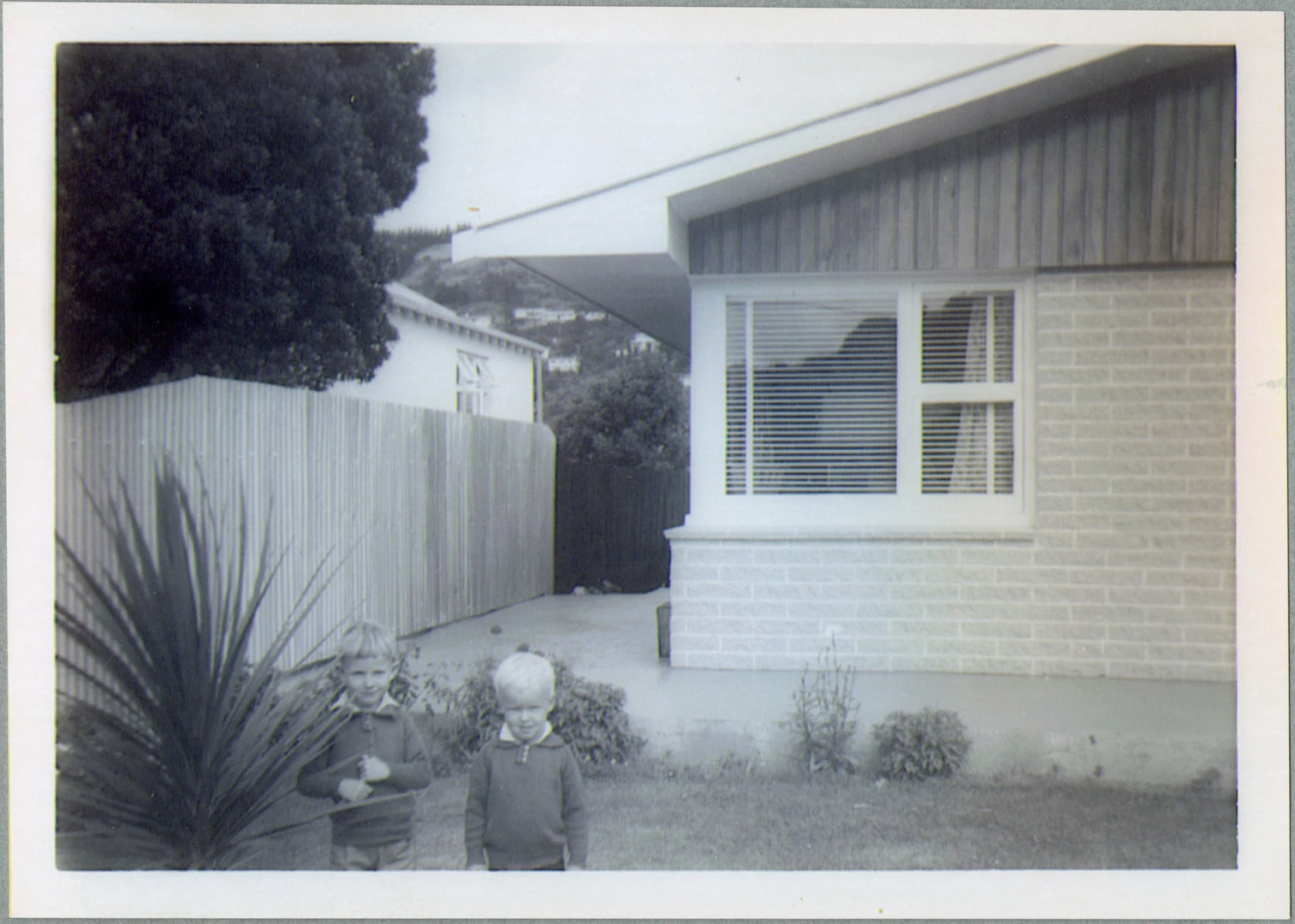 Backyard of 33 Wiggins Street