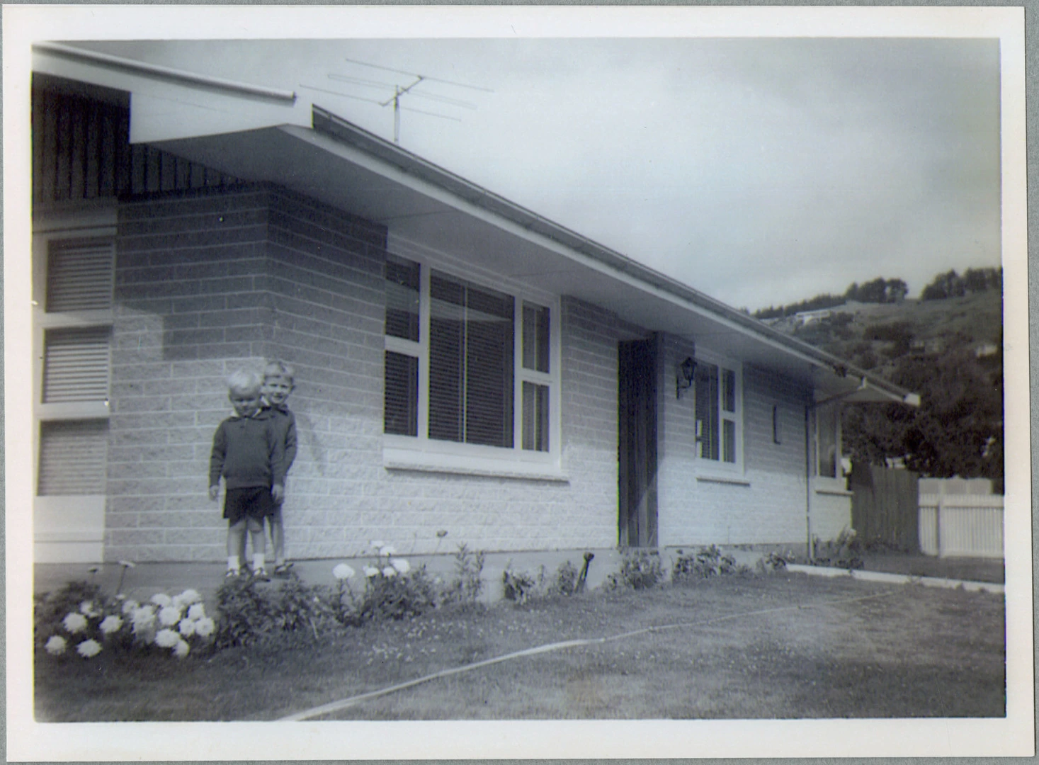 Backyard of 33 Wiggins Street