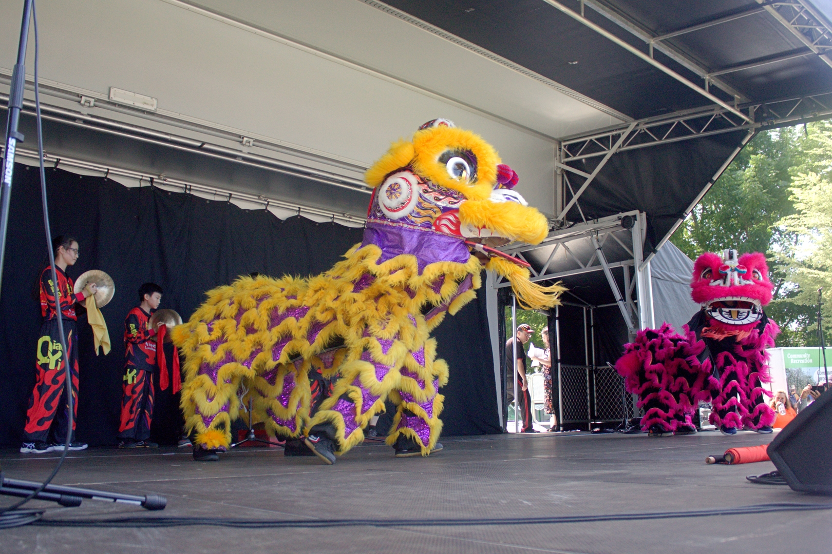 Qiao Yi Hong De Lion Dance Team