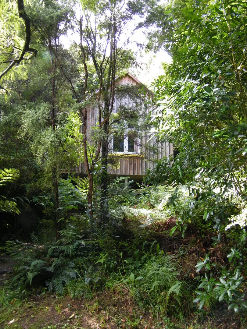 The Love Shack