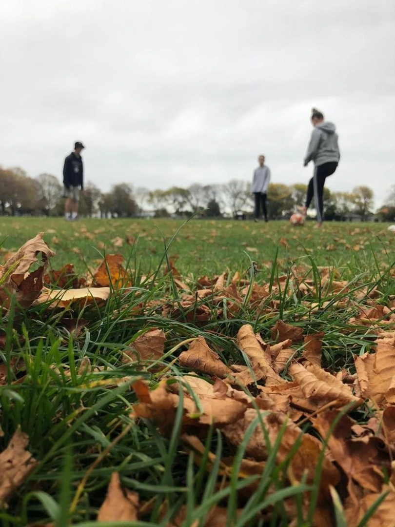 Lockdown inside, Autumn outside.