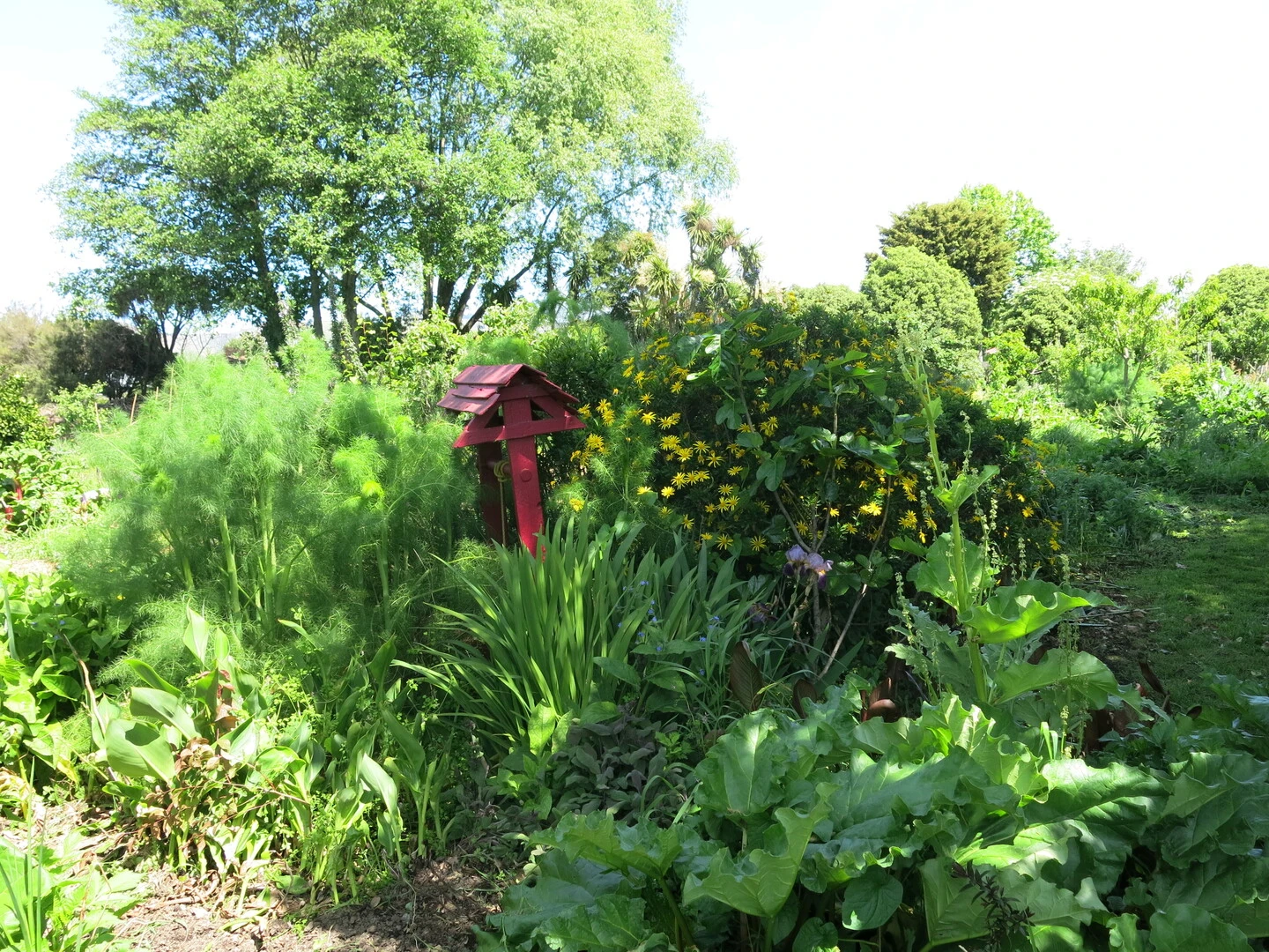 Smith Street Community Farm