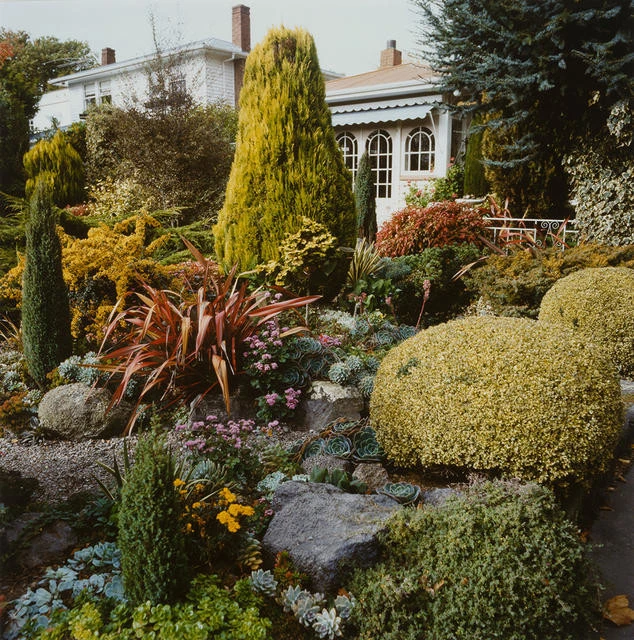 Gil Hanly - Stuart Watson’s 1930s garden