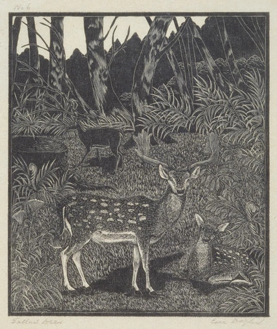 Eric Daglish - Fallow Deer