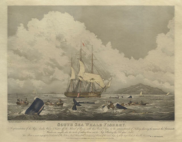 William Huggins - South Sea Whale Fishery