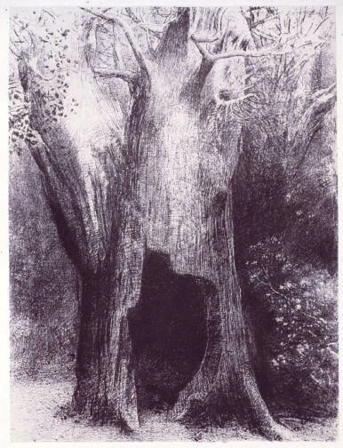 Odilon Redon - Je me suis enfoncé dans la solitude, j’habitais l’arbre derrière moi