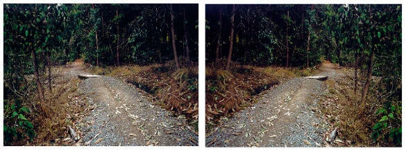 Ann Shelton - Doublet (after Heavenly Creatures), Parker/Hulme crime scene, Port Hills, Christchurch, New Zealand