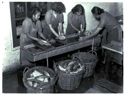 Fish canning, North Auckland