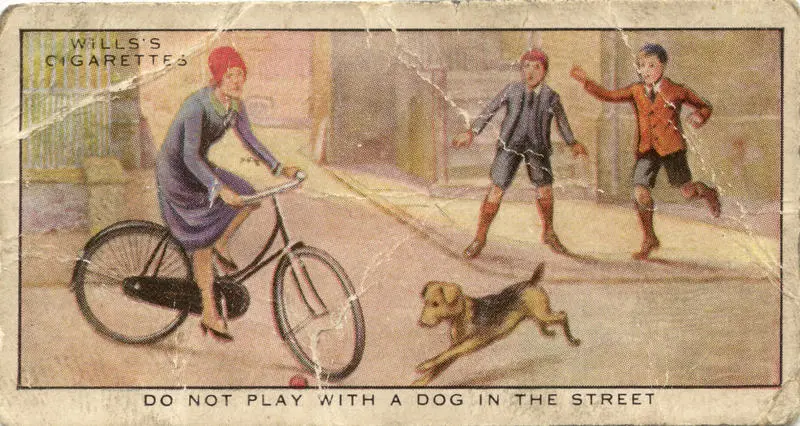 Do not play with a dog in the street