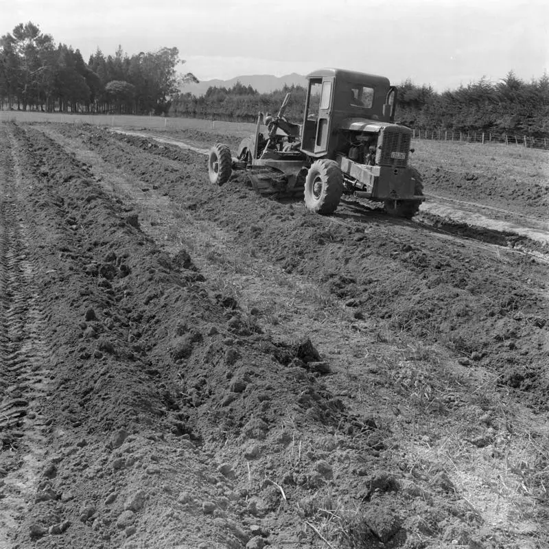 Surface drainage, Hauraki plains, April 1963