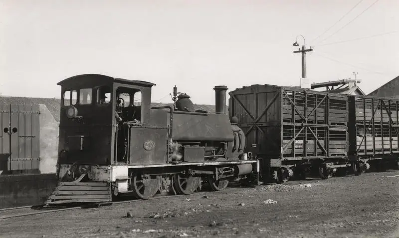 Steam locomotive F 233 with sheep trucks, 1940s