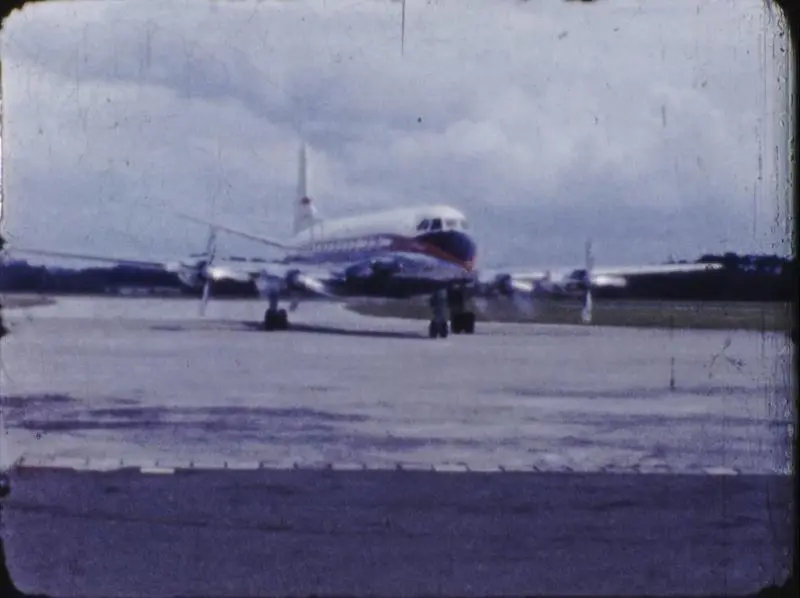Zoo animals and NAC Vickers Viscount on runway