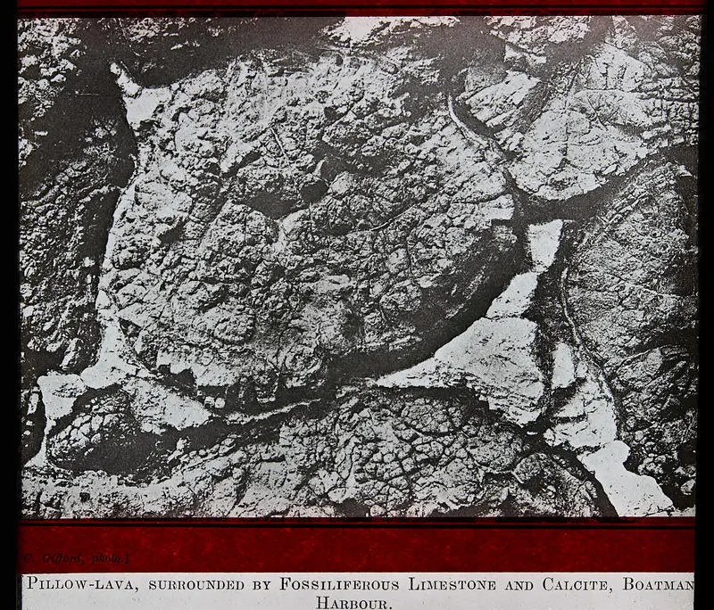 Pillow-Lava, surrounded by Fossiliferous Limestone and Calcite, Boatman Harbour