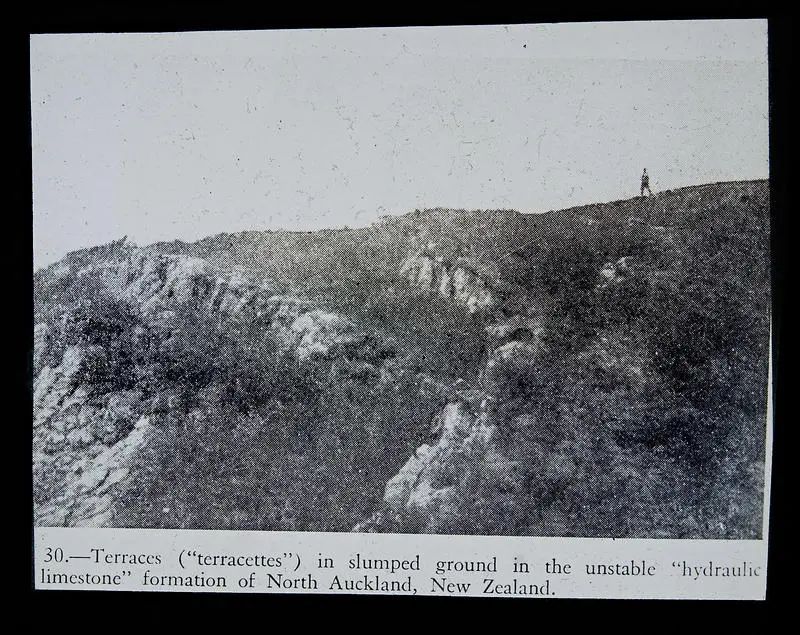 Fig. 30.- Terraces (:terracettes") in slumped ground in the unstable "hydraulic limestone" formation of North Auckland, New Zealand.