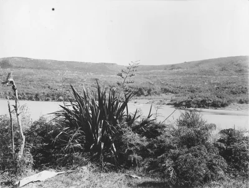 Jerusalem Bay, Lake Taupo