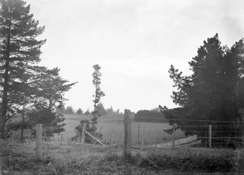 Gate Pā, Pukehinahina